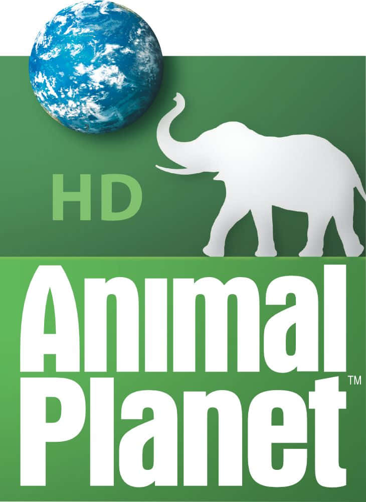 Animal Planet HD 標誌，白色大象和藍色地球儀在綠色背景上。