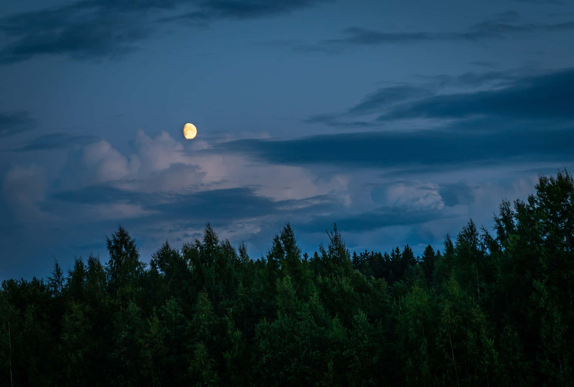 月亮在夜間從森林上升起，伴隨著烏雲。