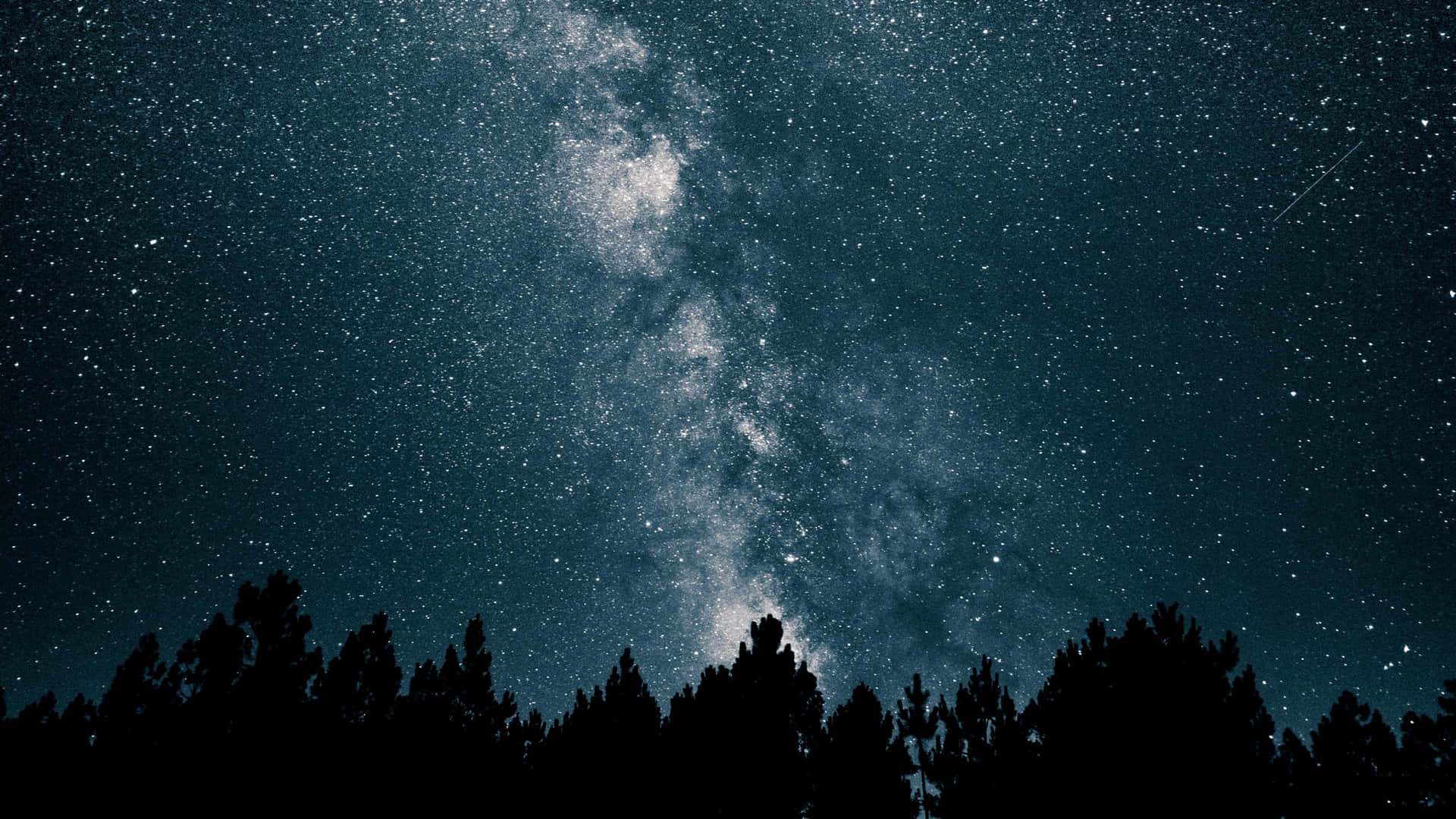夜晚，銀河系在松樹林上方閃耀。