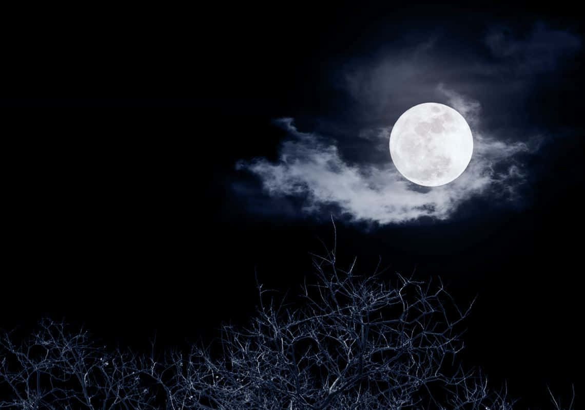 探索夜色之美 壁紙 — 一輪明亮的滿月在縷縷薄雲後發光，映襯著光禿的樹枝和深邃的夜空。