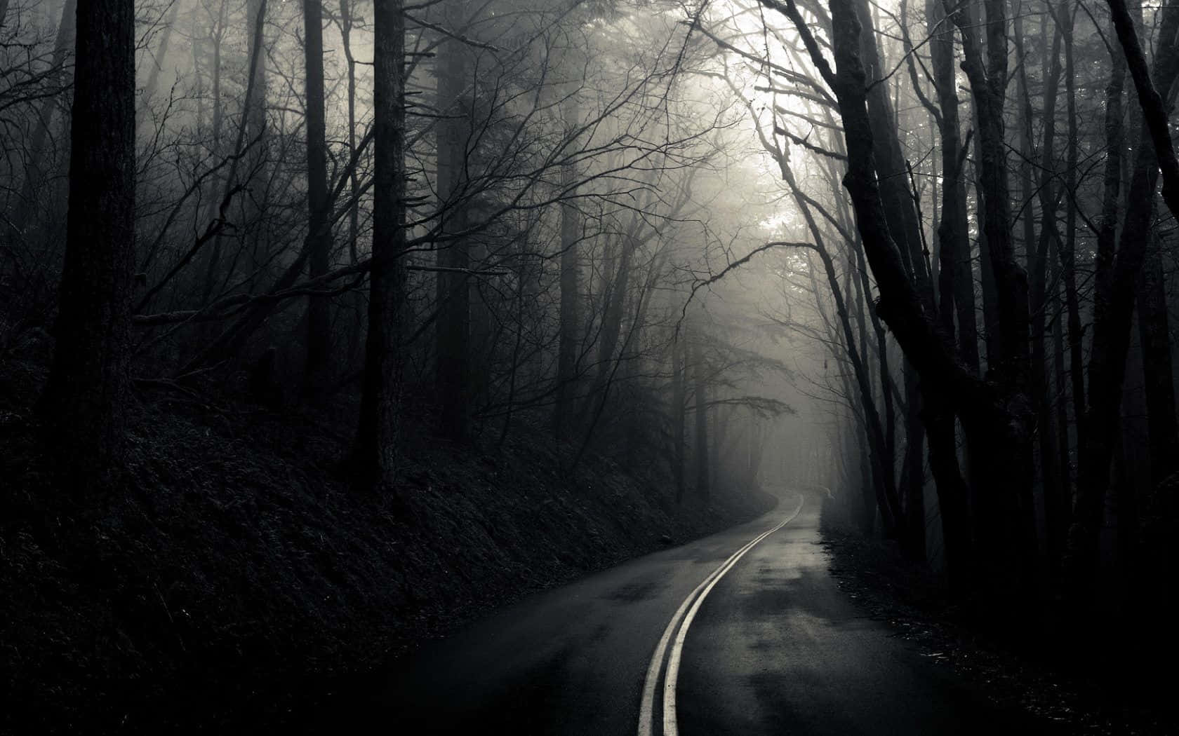 一條蜿蜒的道路穿過霧氣瀰漫的森林，有光禿禿的樹木和昏暗的光線。