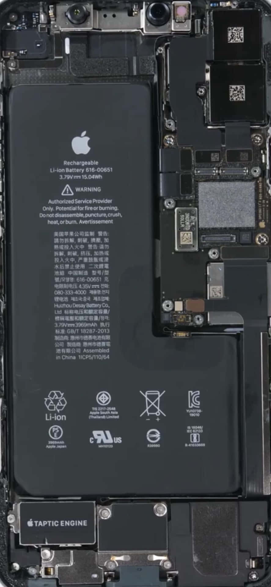 iPhone 內部顯示電池和 Taptic Engine