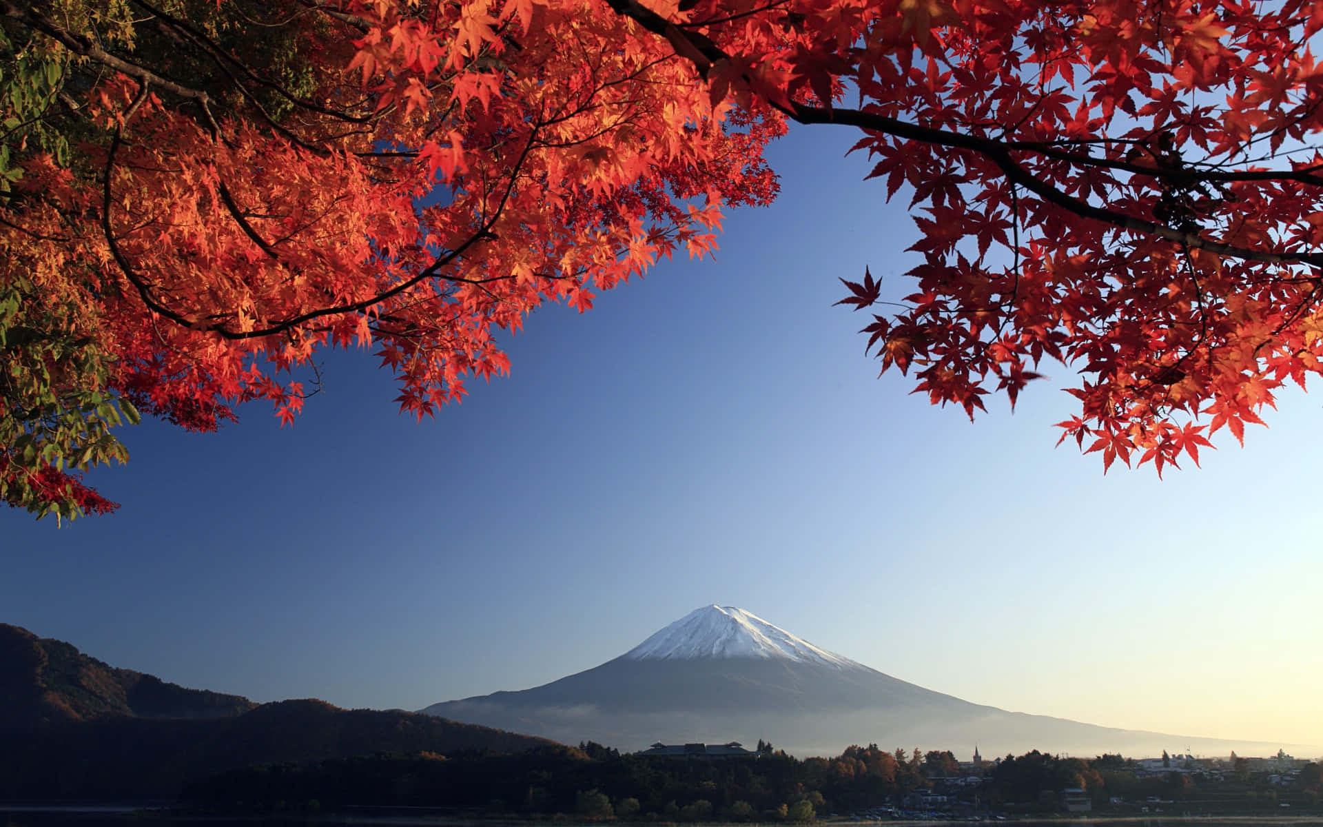 紅色楓葉框住了日出時富士山，有雪覆蓋的山頂和晴朗的藍天。
