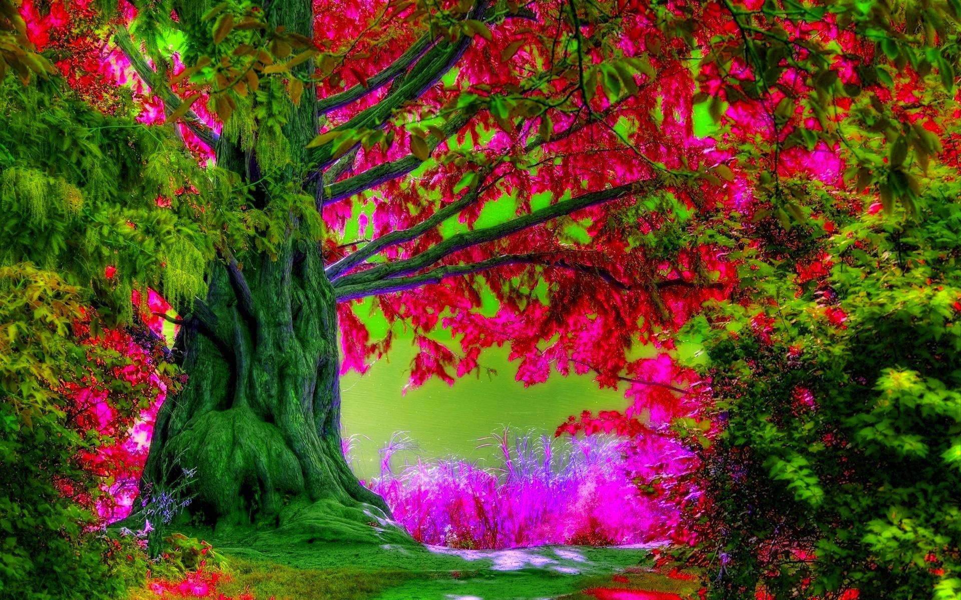 探索春日綻放之美 壁紙 — 一棵雄偉的古樹，帶有鮮豔的粉紅色和綠色樹葉，在超現實的魔法森林中拱起一條發光的紫色小徑。