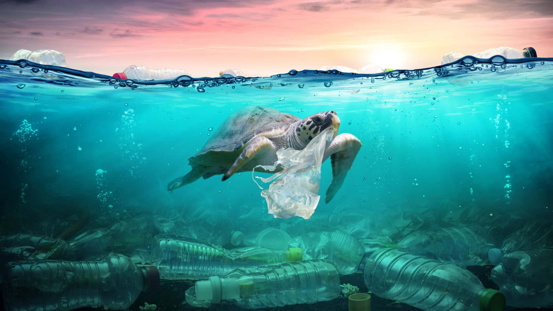 探索海洋的深處 壁紙 — 一隻海龜在水下穿過塑膠污染游動，一個袋子纏繞著牠的鰭，而太陽正在上方落下。