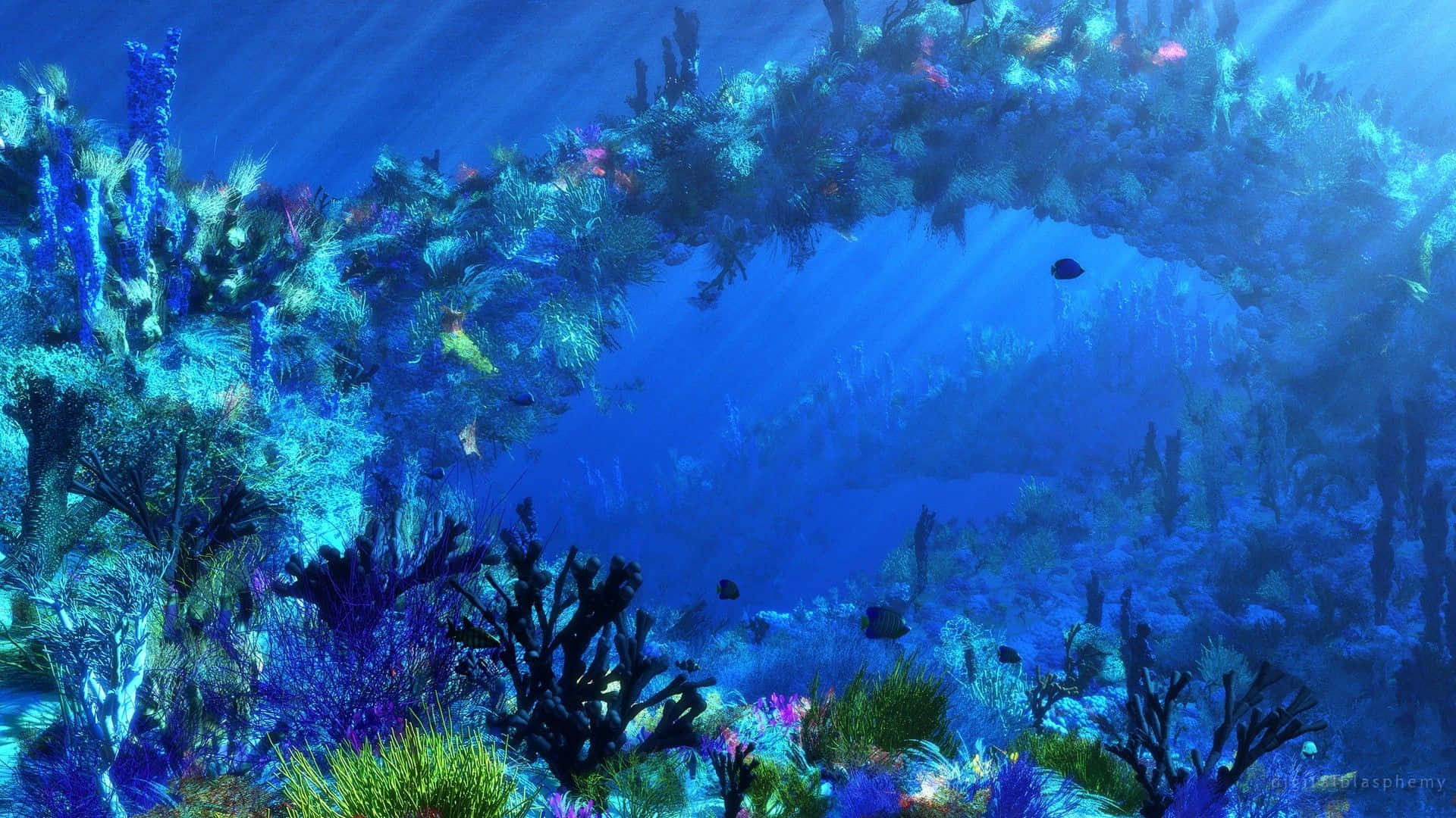 水下發光的珊瑚拱門，魚兒在藍光中游動。