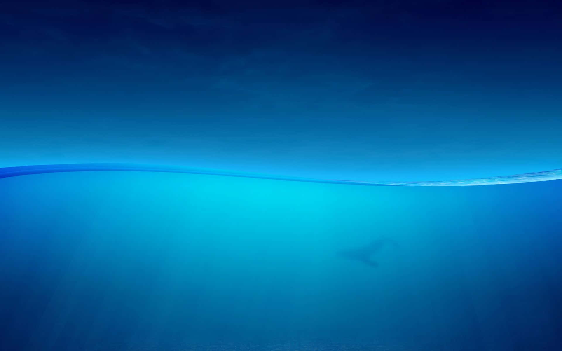 水下視圖，鯊魚剪影在海面下游動。