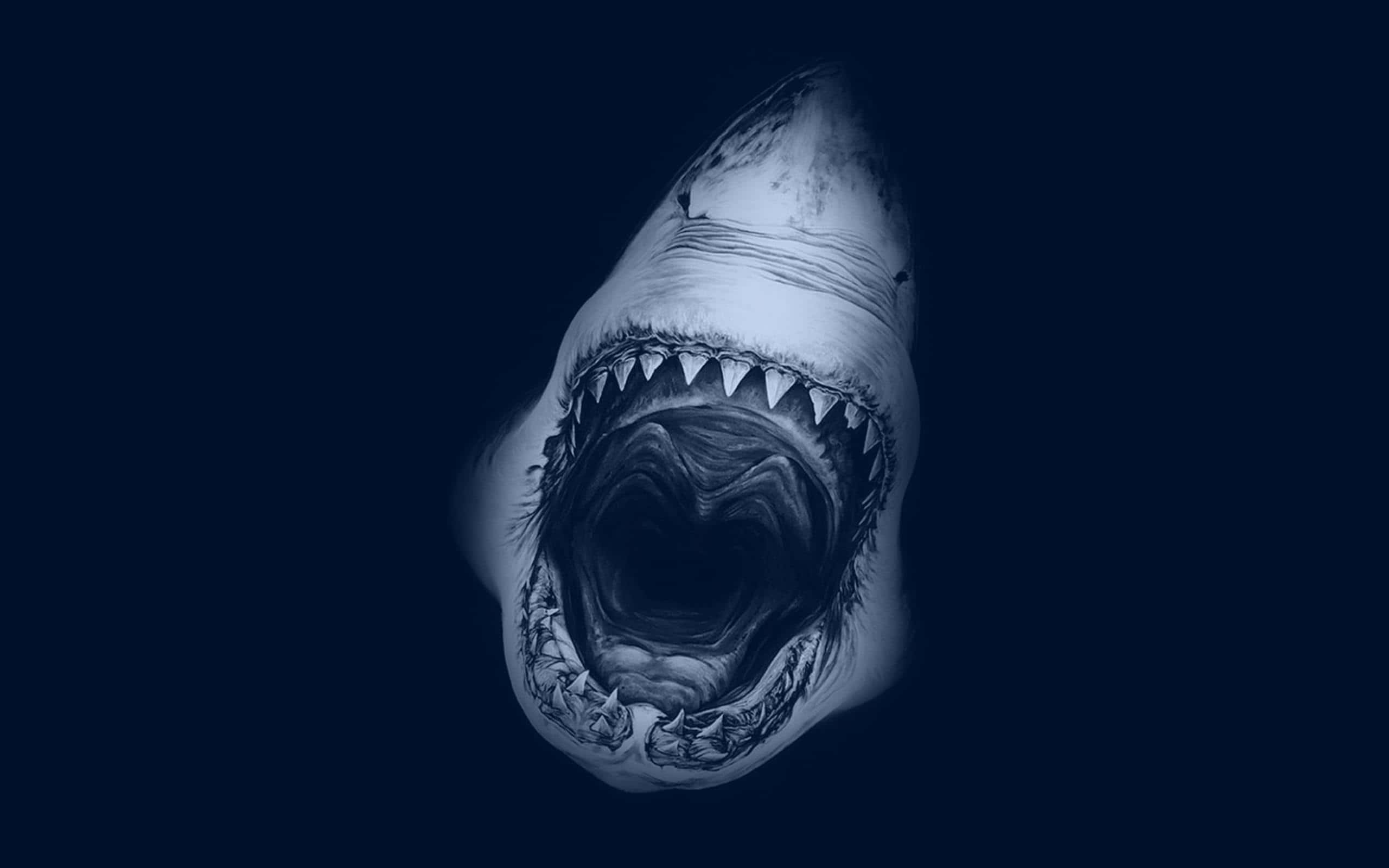 探索深海，邂逅威嚴鯊魚 壁紙 — 一條帶有威脅性的鯊魚張開滿是尖牙的嘴巴，直視深藍色背景。