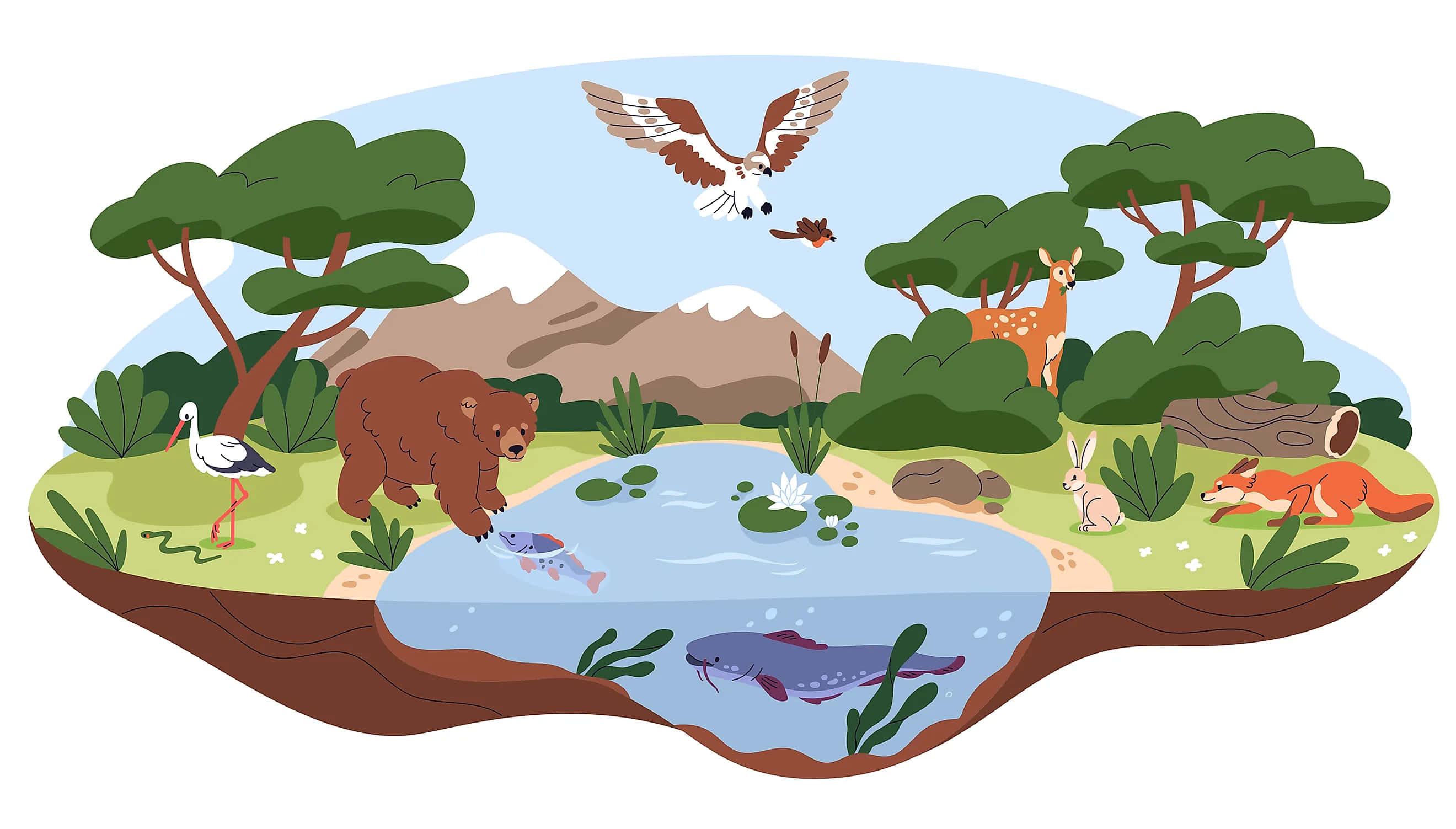 探索生物圈的奇觀 壁紙 — 一個充滿活力的卡通森林場景，有熊釣魚、鹿和狐狸休息，以及一隻鷹在睡蓮池塘上空翱翔。