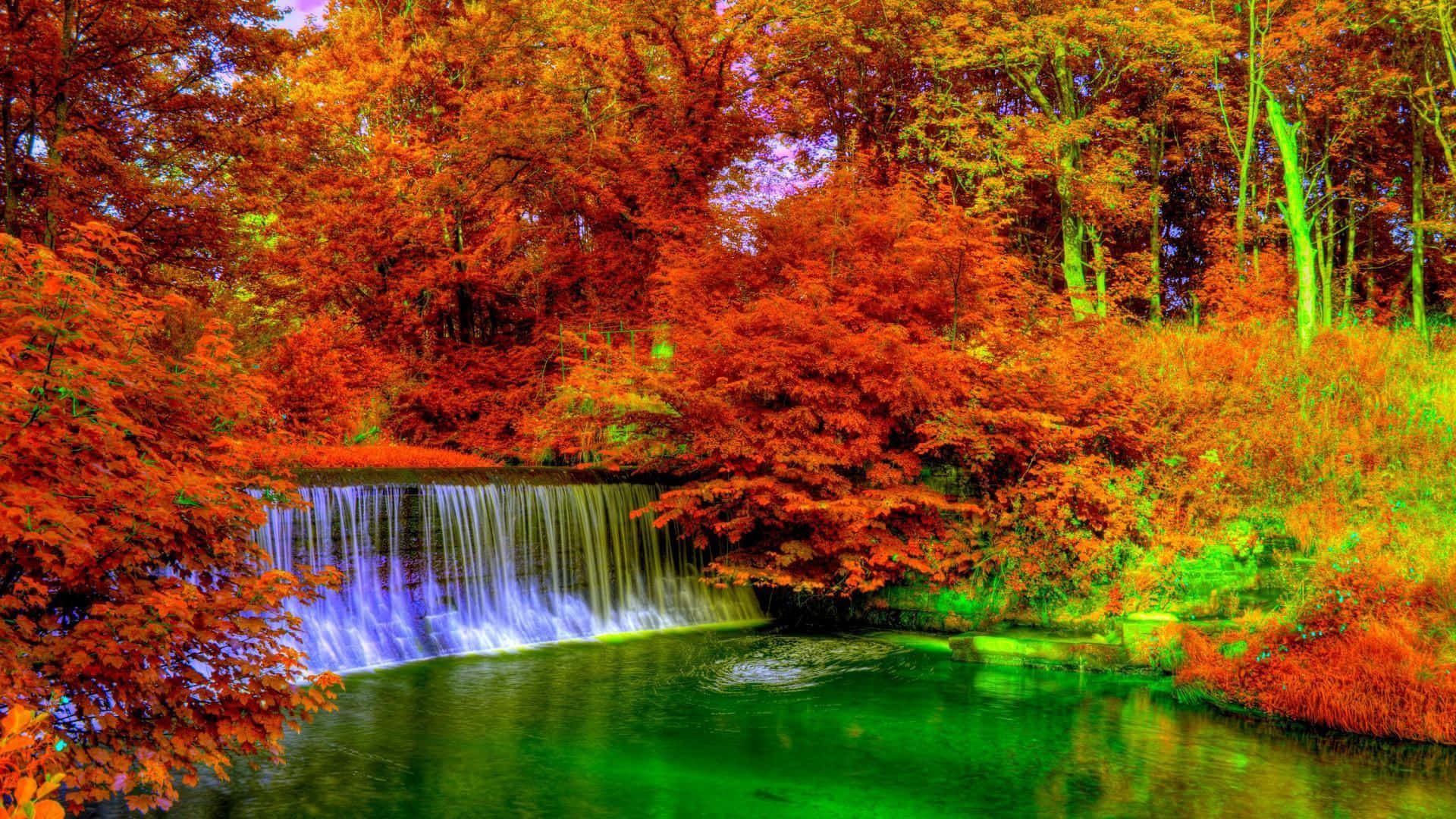探索秋日紅與金的絢麗色彩 壁紙 — 充滿活力的秋日森林，火紅的樹木環繞著傾瀉而下的瀑布，流入閃閃發光的綠色水池。