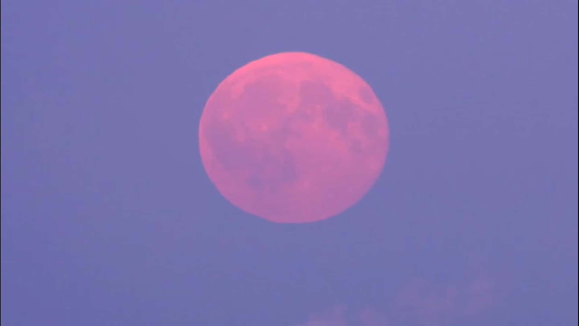 探索粉紅月光夜的魔幻之美 壁紙 — 一輪鮮艷的粉紅色滿月在帶有薄雲的柔和紫色暮色天空中發光。