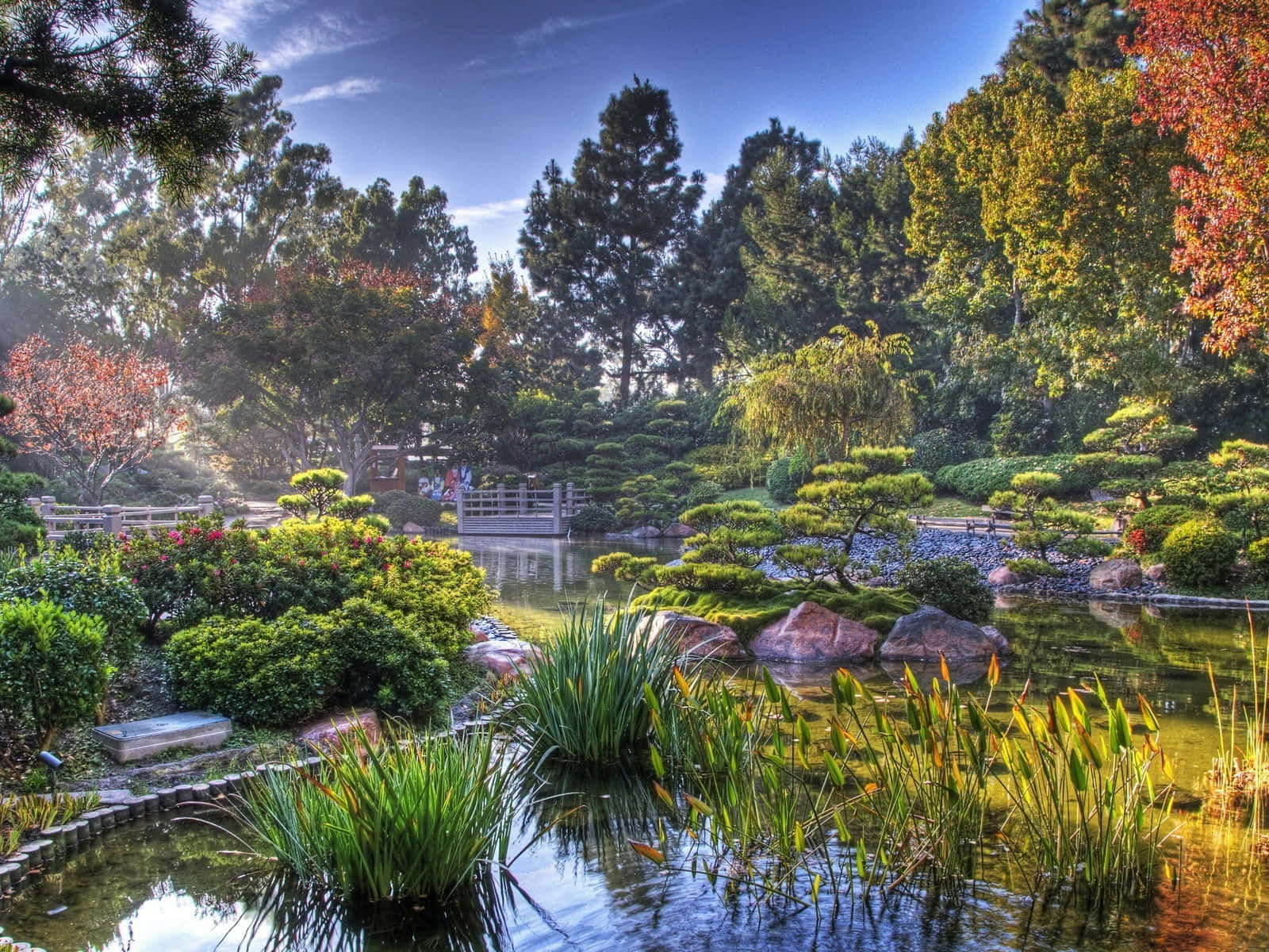 一個寧靜的日本花園池塘，有秋葉和石橋。