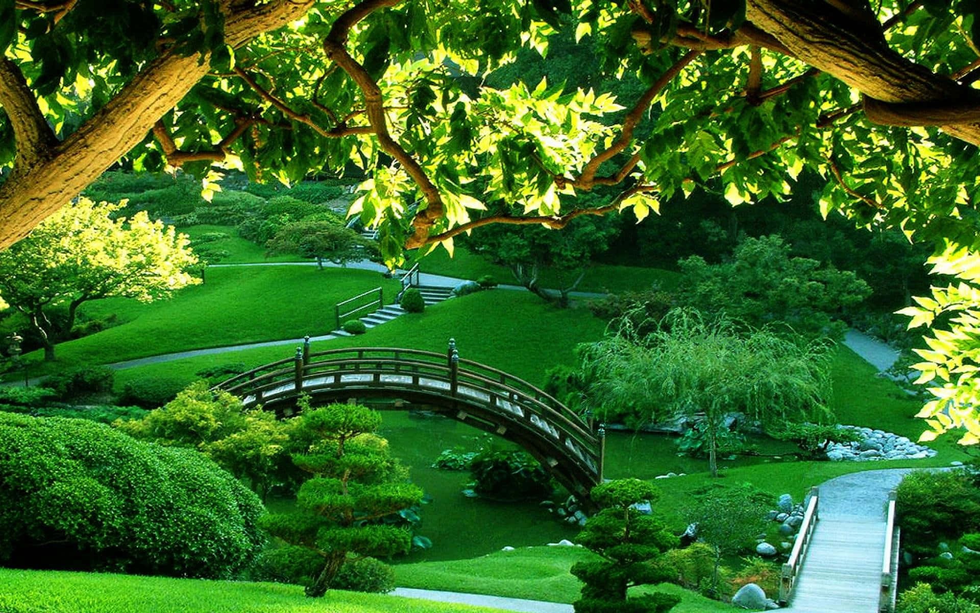 在明亮的陽光下，一座木橋橫跨在寧靜的日本花園中的池塘上。