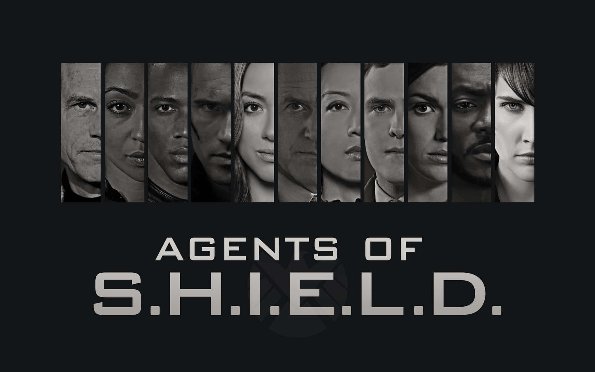 九張黑白嚴肅面孔，下方有 Agents of S.H.I.E.L.D. 標題。