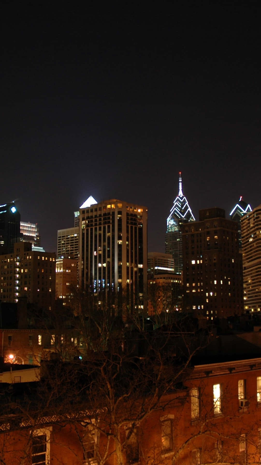 城市天際線的夜景，前景有燈火通明的建築物和光禿禿的樹木。