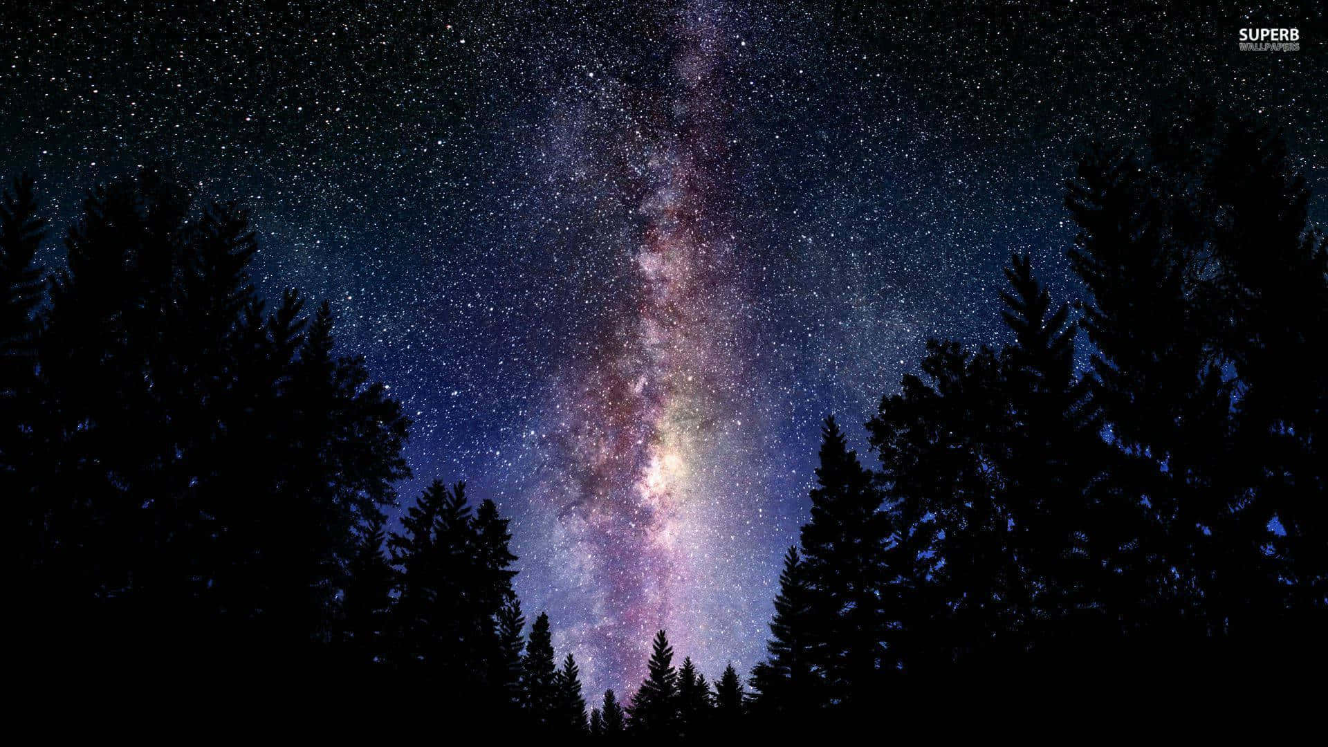 銀河系在夜間森林上方閃耀。