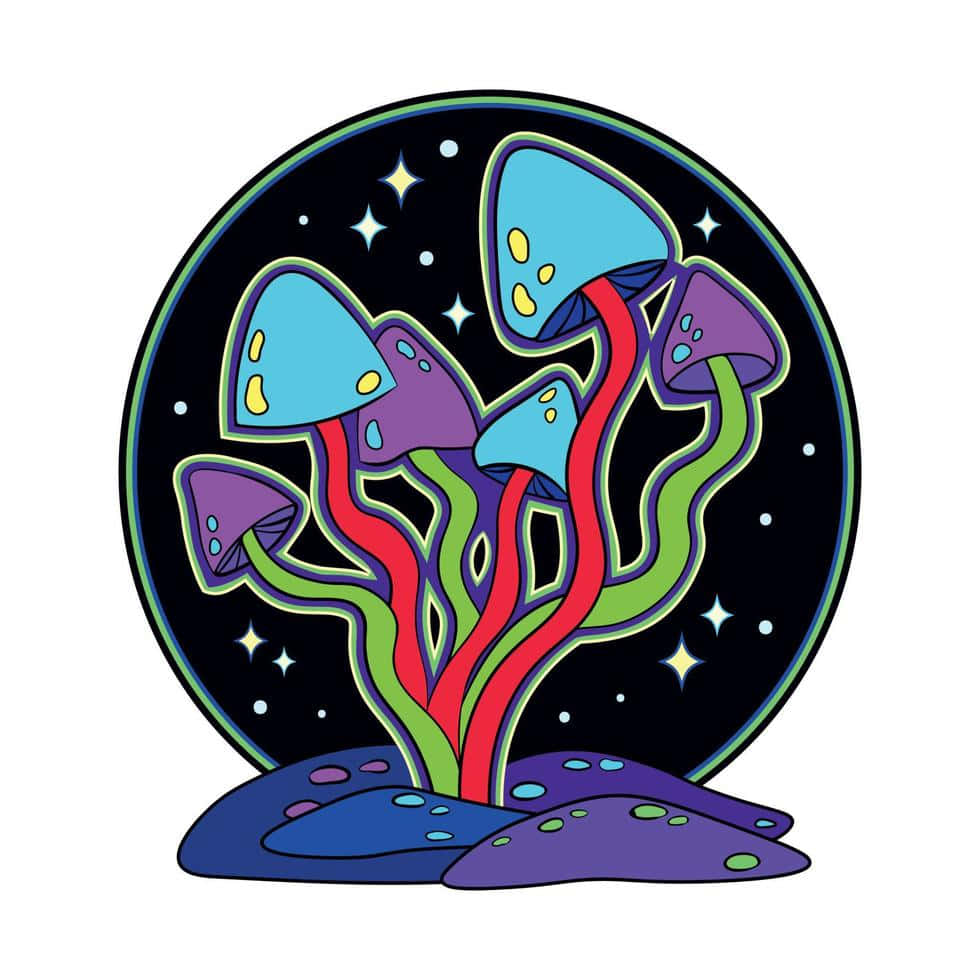 探索迷幻蘑菇的神祕世界 壁紙 — 色彩繽紛的卡通蘑菇，帶有發光的菌蓋和彩色菌柄，從紫色土堆中長出，背景是星空夜空。