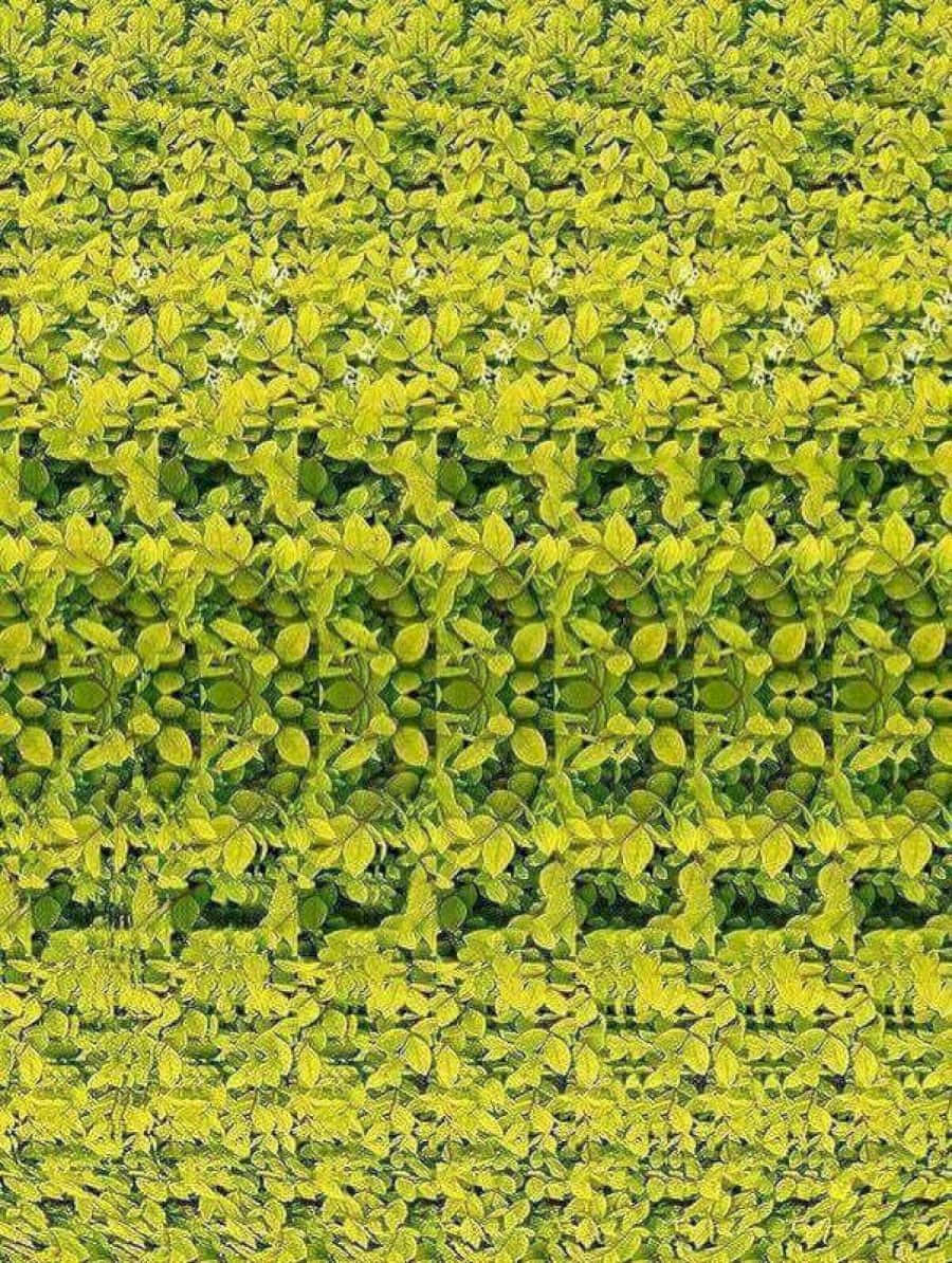 探索隱藏3D的神秘世界 壁紙 — 一個萬花筒般的圖案，由鮮豔的綠色和黃色葉子排列成對稱、重複的幾何形狀。