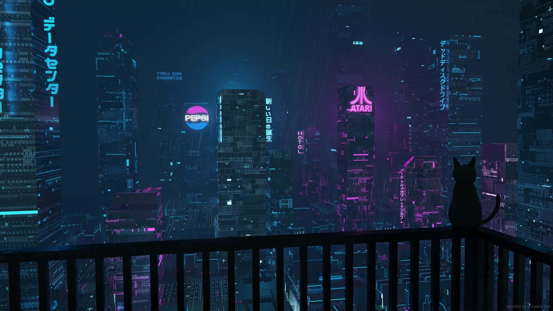 陽台上的一隻黑貓凝視著夜晚發光的霓虹城市。
