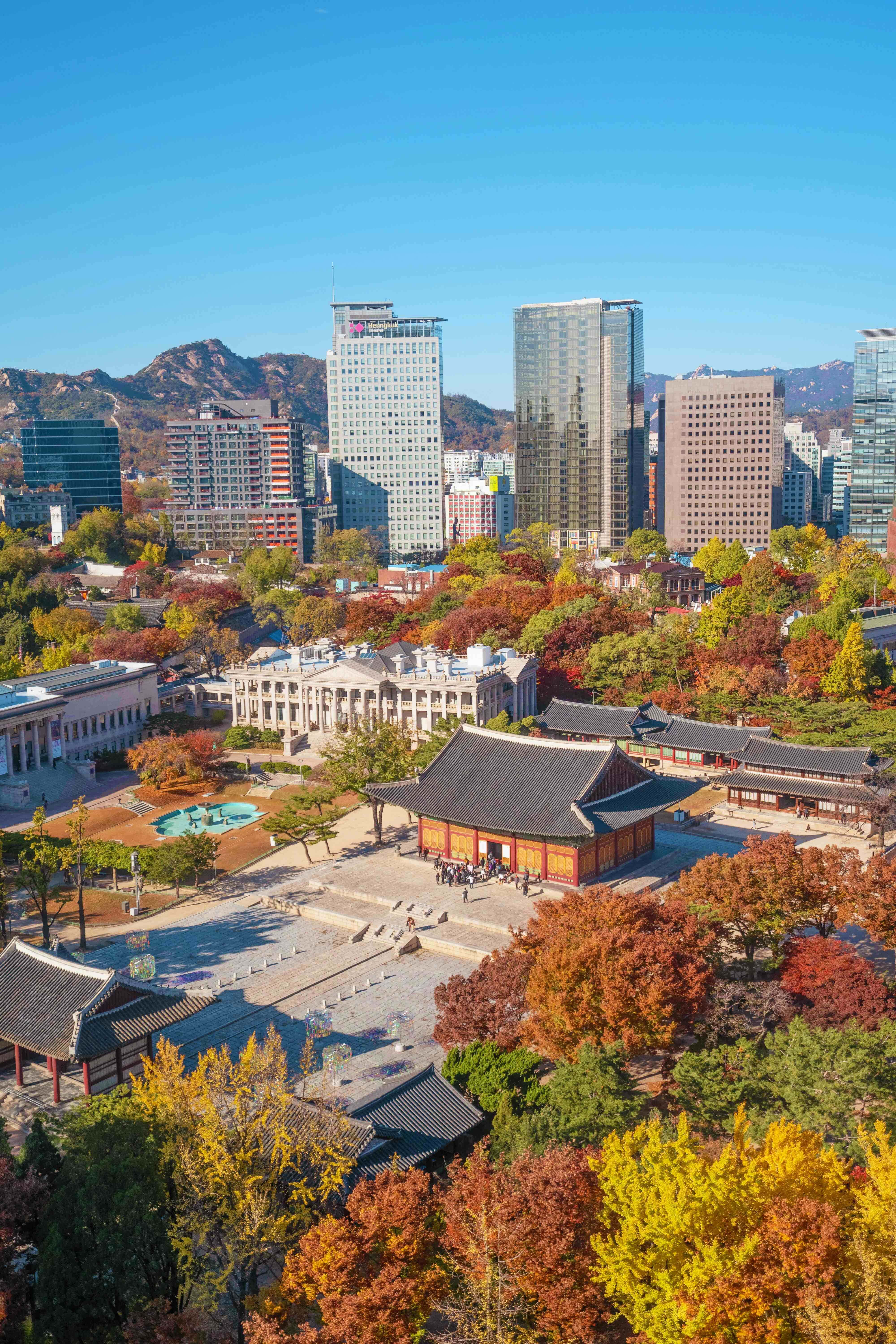 探索韓國之美 壁紙 — 從高空俯瞰傳統韓國寺廟，被秋葉環繞，背景是現代摩天大樓和山脈，天空清澈湛藍。