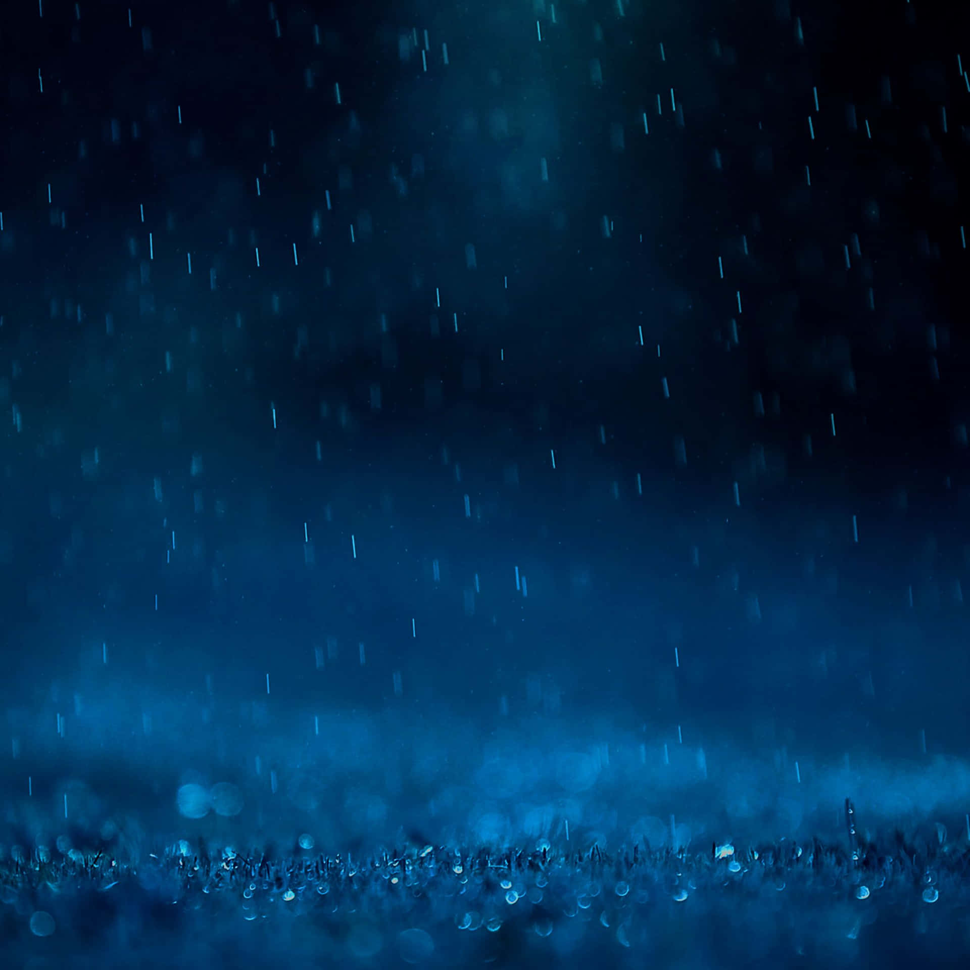夜間在深藍色天空下，雨水落在草地上。
