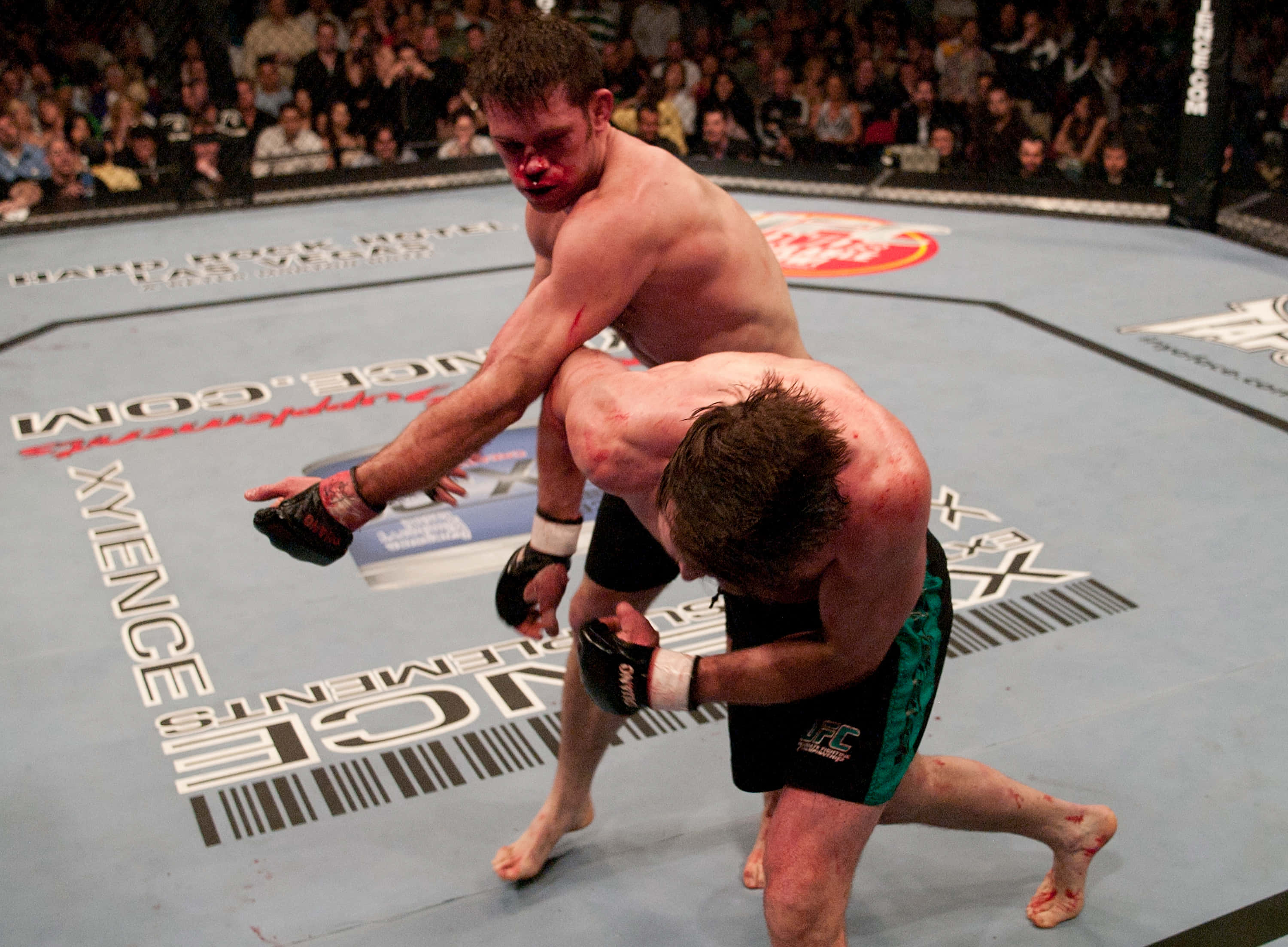 提姆·西爾維亞 Ultimate Fighting Championship 壁紙 — 兩名血跡斑斑的MMA拳手在八角籠內激烈纏鬥，觀眾專注觀看。