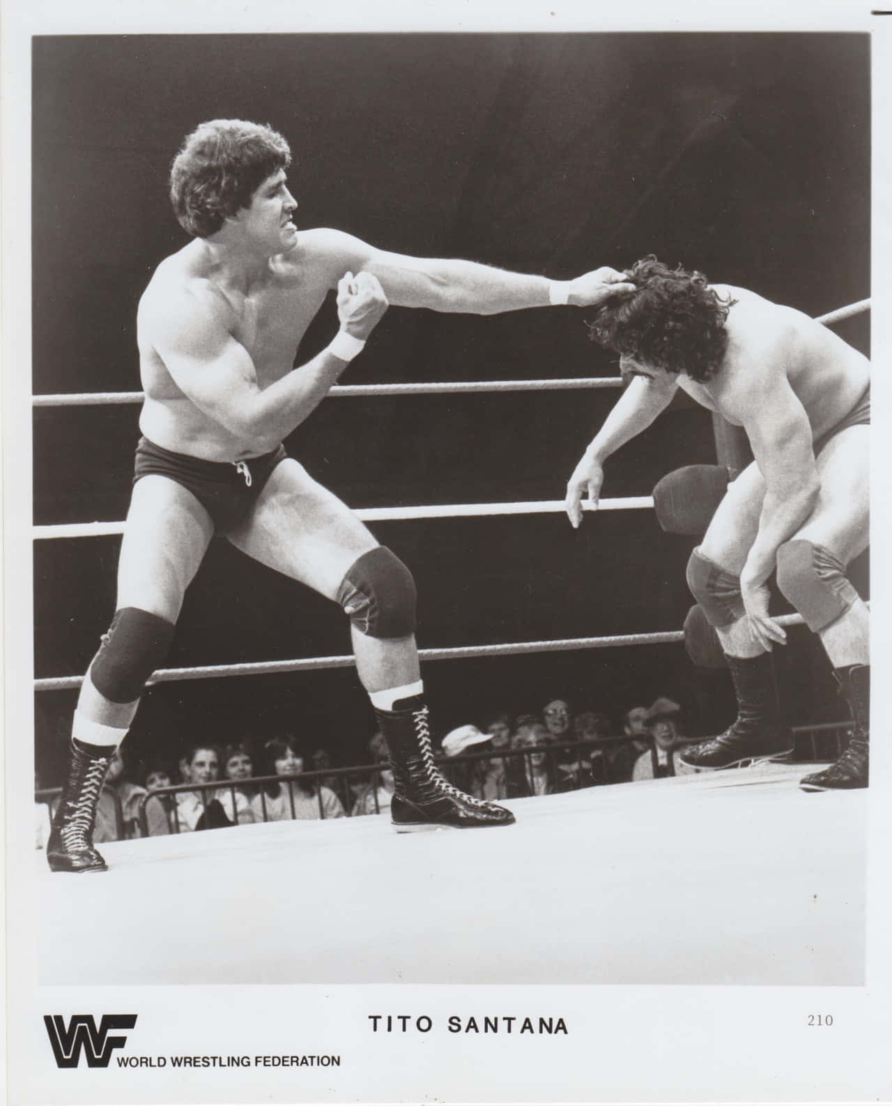 提托·桑塔納攻擊對手WWF賽事 壁紙 — Tito Santana 在戲劇性的摔角擂台時刻向對手發出強力一拳。
