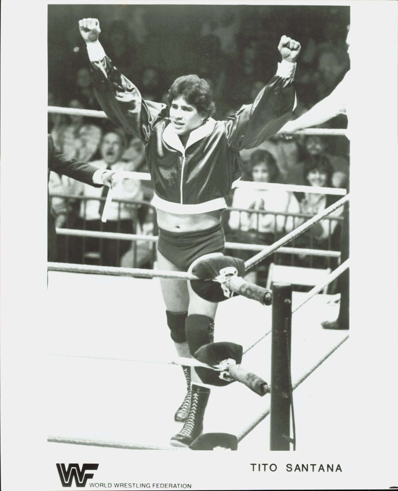 提托·桑塔納黑白海報 壁紙 — 摔角手 Tito Santana 在摔角擂台上勝利地舉起拳頭，背景有觀眾。