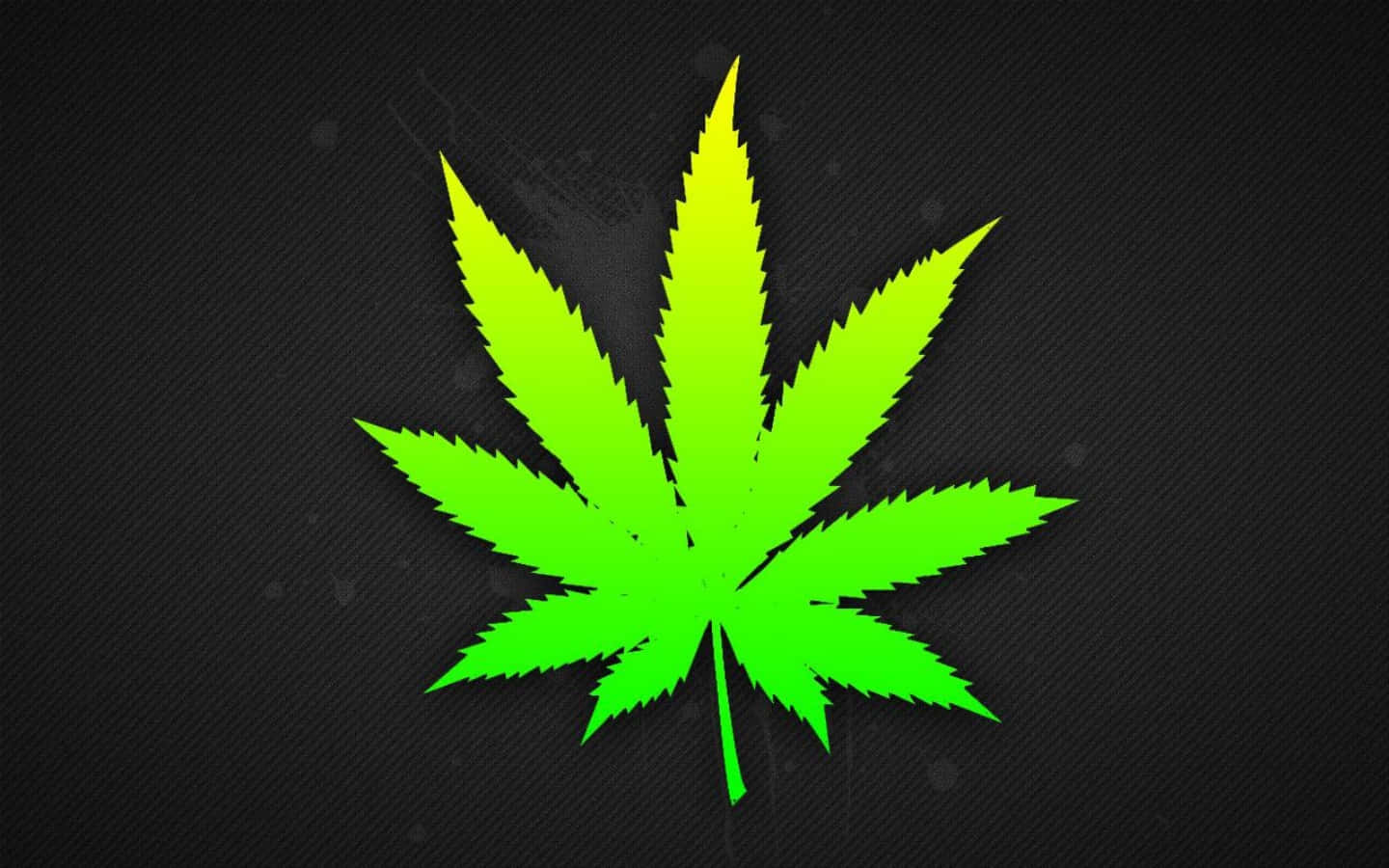 紋理黑色背景上的螢光綠色大麻葉