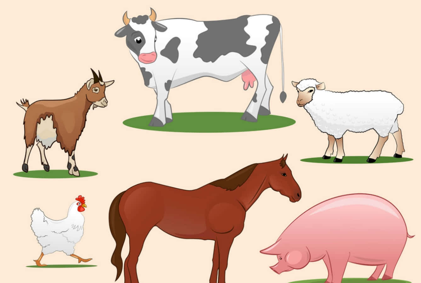 Clipart 桌布 壁紙 — 插圖農場動物，包括牛、山羊、綿羊、馬、雞和豬，站在米色背景上的綠色斑塊上。