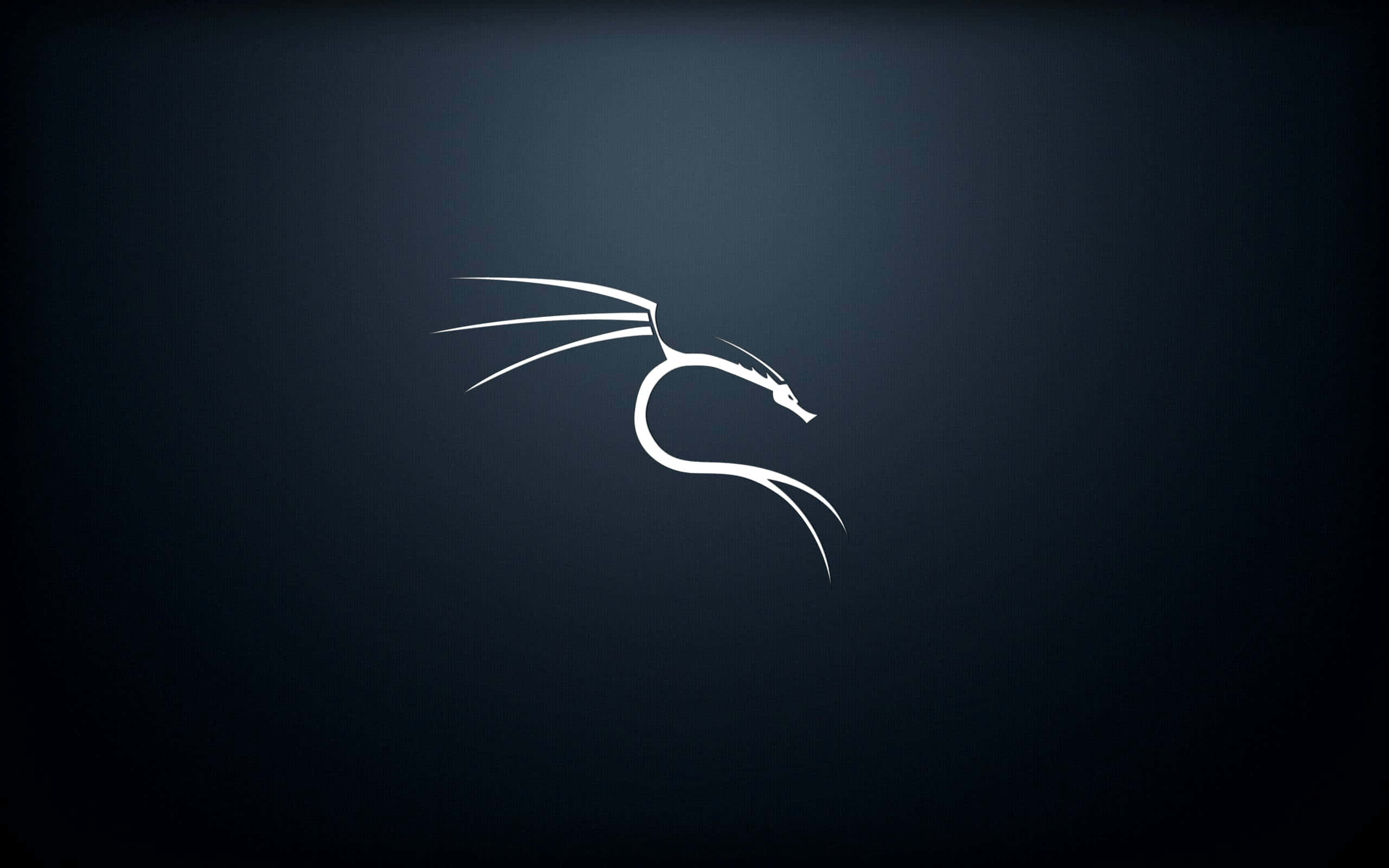 揭開 Linux 的力量：Kali Linux 壁紙 — 一個極簡風格的白色龍標誌在深藍色漸變背景上發光。