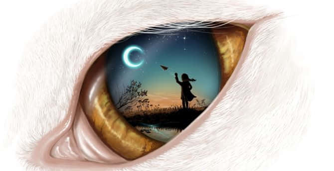 貓眼反射出一個孩子在彎月和星星下放風箏。