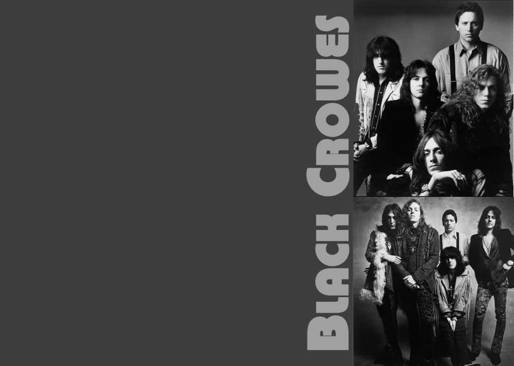 Black Crowes 桌布 壁紙 — 搖滾樂隊Black Crowes的黑白肖像，在黑暗的攝影棚背景下拍攝兩張團體照。
