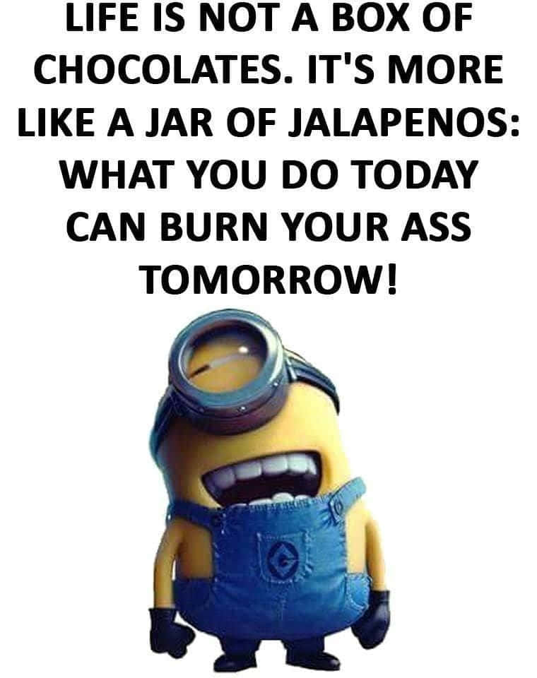 Minion角色大笑，附有關於人生就像墨西哥辣椒的文字。