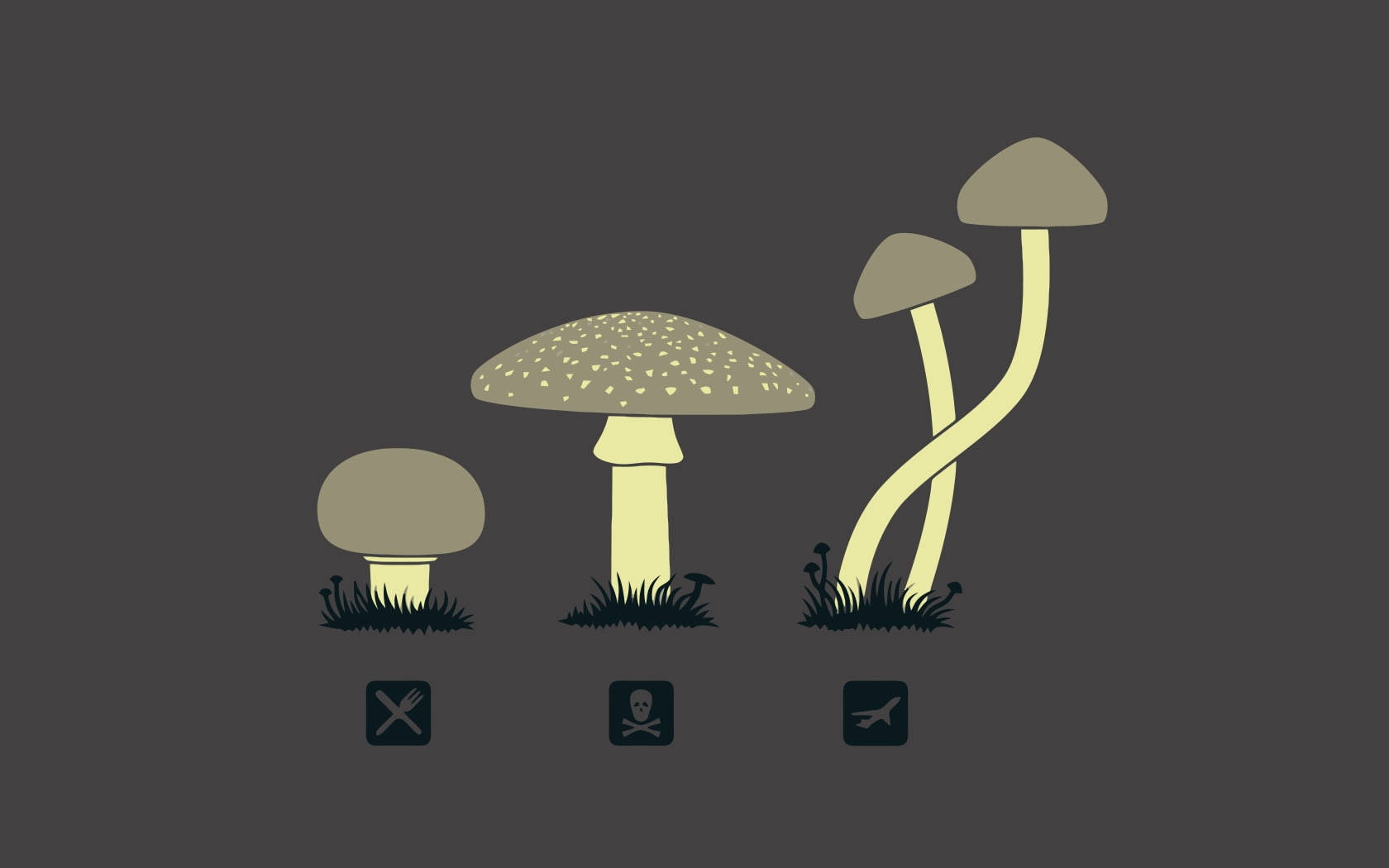 三個插圖蘑菇，下方有危險符號。
