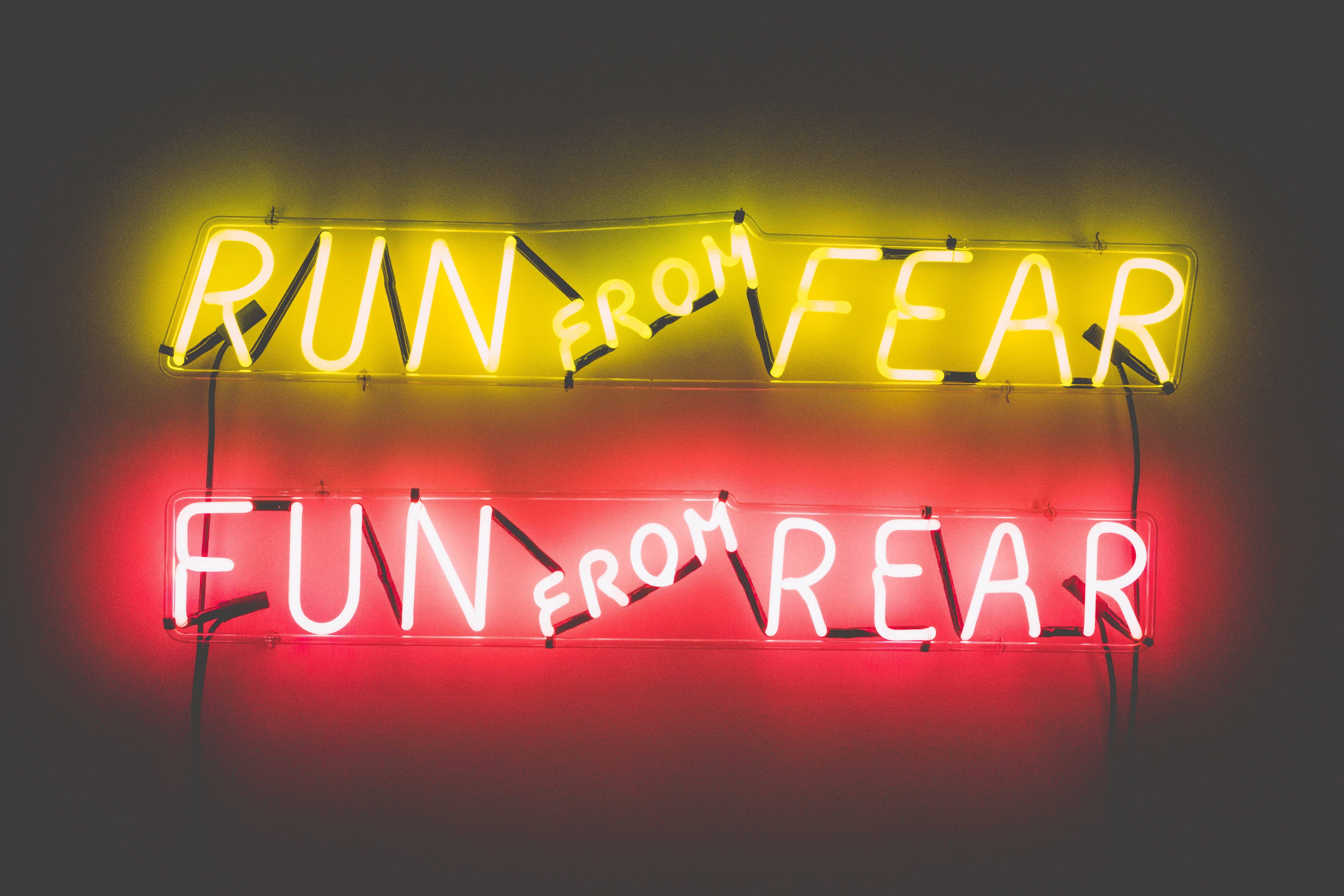 搞笑梗圖：逃離恐懼 壁紙 — 兩個發光的霓虹燈牌，一個黃色寫著 run from fear，一個紅色寫著 fun from rear，安裝在深色牆上。
