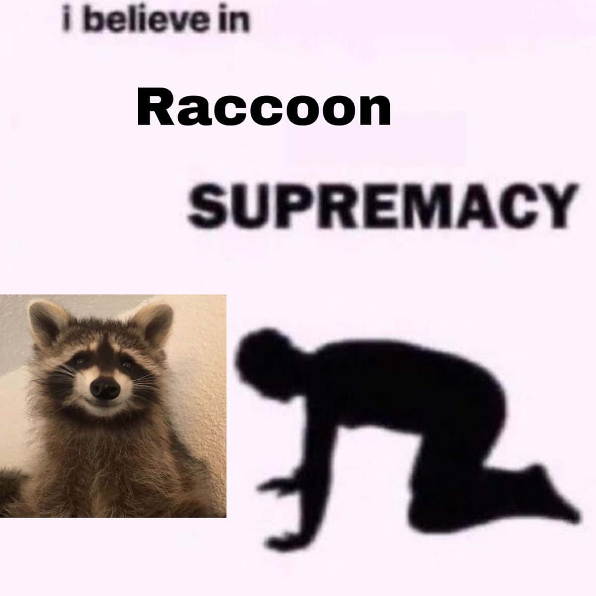 浣熊旁邊有文字「I believe in Raccoon SUPREMACY」和一個跪著的人類剪影。