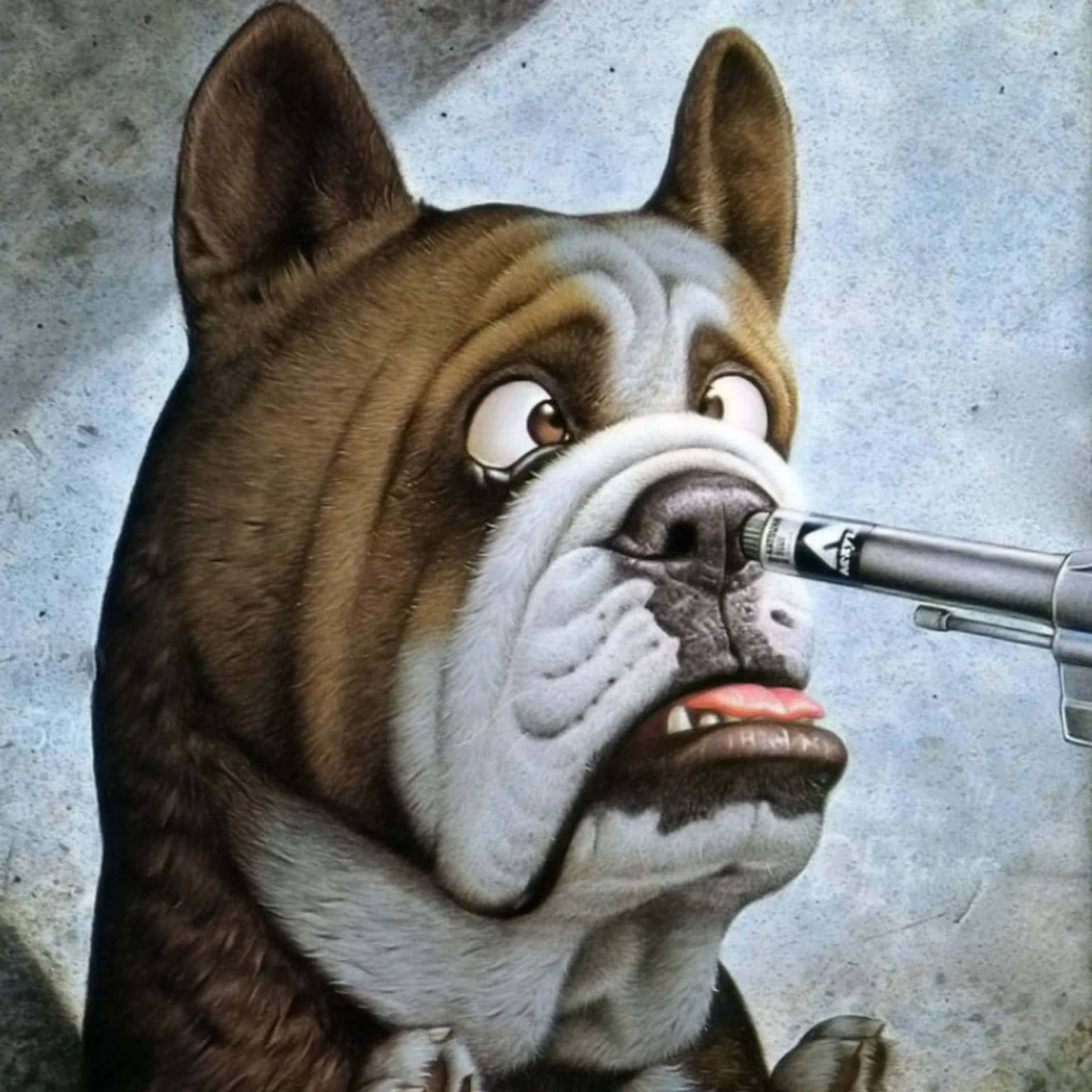 大眼睛的鬥牛犬，一支筆壓在它的鼻子上。