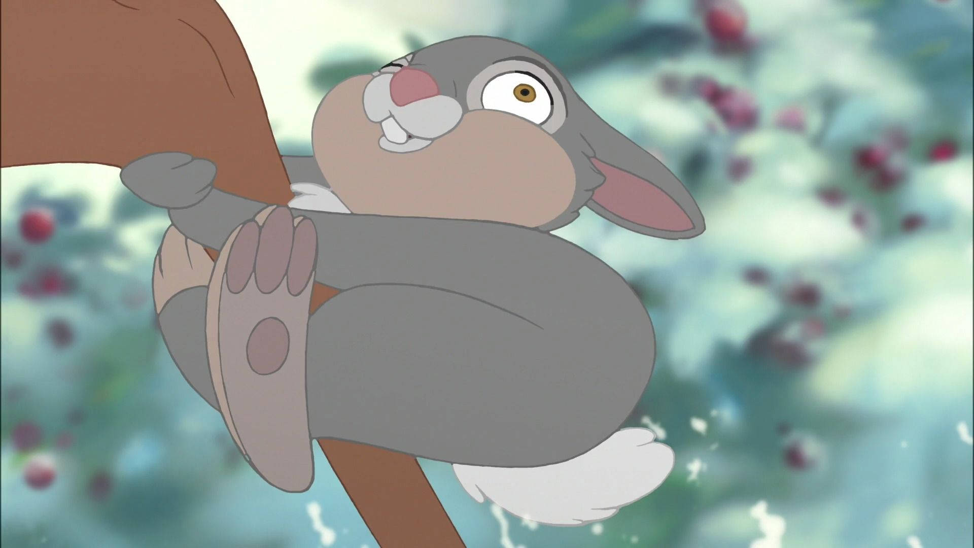 搞笑的 Thumper 壁紙 — 一隻卡通兔仔用大眼同驚訝嘅表情抓住樹枝，背景係模糊嘅漿果。