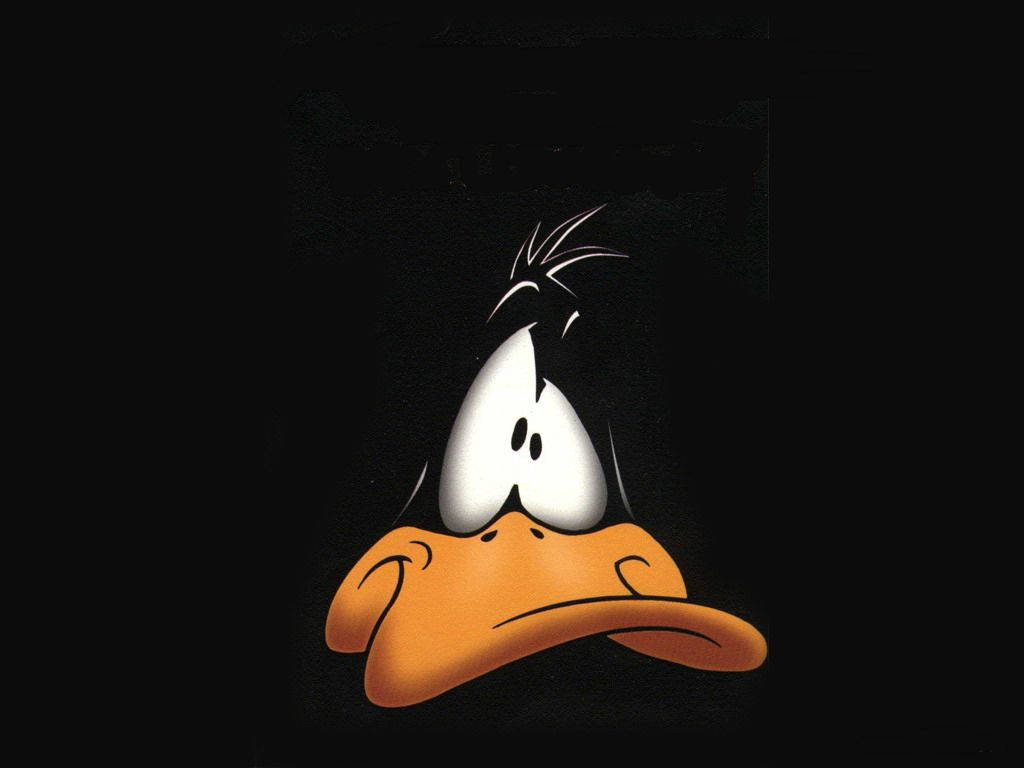 Daffy Duck 嘅憤怒卡通臉孔皺眉，背景係黑色