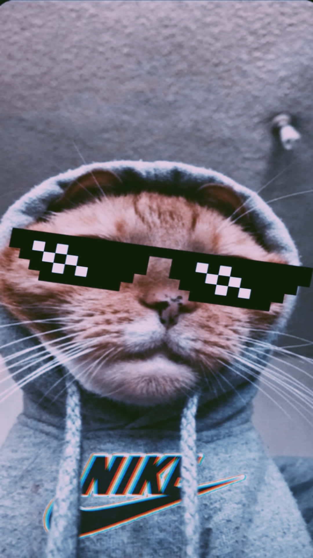 搞笑貓咪迷因：穿耐克連帽衫與8-bit太陽眼鏡的貓咪圖 壁紙 — 一隻型格嘅橙色貓，戴住像素化太陽眼鏡同灰色連帽衫，上面有Nike標誌，直視前方。