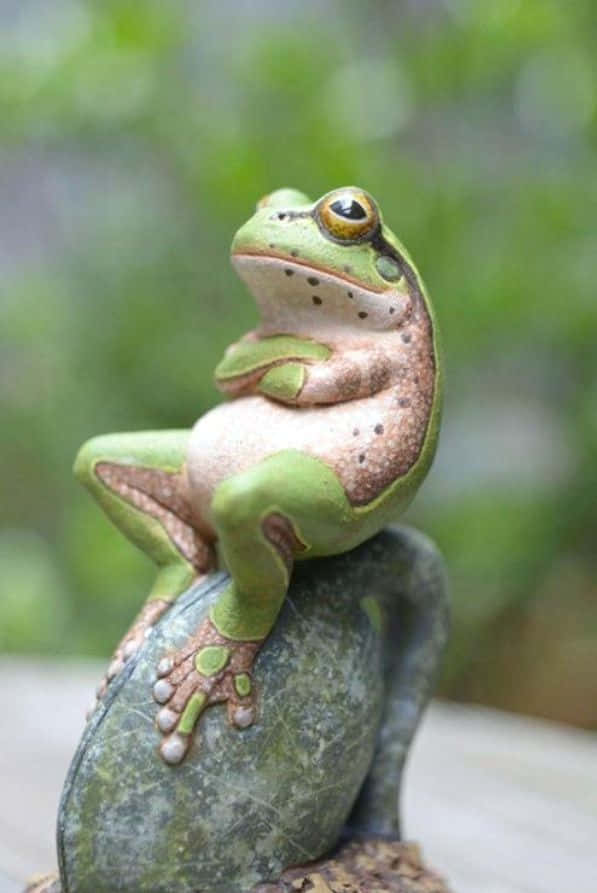 一個綠色青蛙雕像，雙臂交叉，棲息在花園中一塊長滿苔蘚的石頭上。
