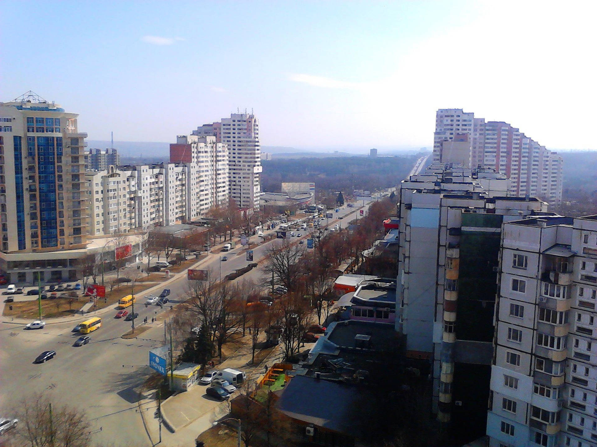 摩爾多瓦低層建築城市景觀 壁紙 — 高角度俯瞰一條繁華的城市街道，兩旁是高層公寓樓和光禿禿的樹木，天空湛藍。