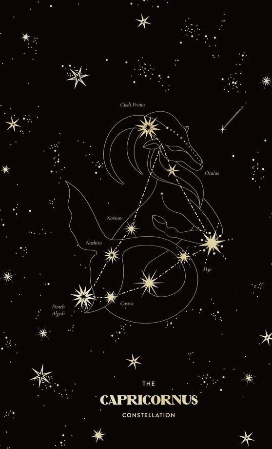摩羯座天文星座 壁紙 — 在黑色星空背景下，帶有標籤星星的摩羯座金色線條畫。