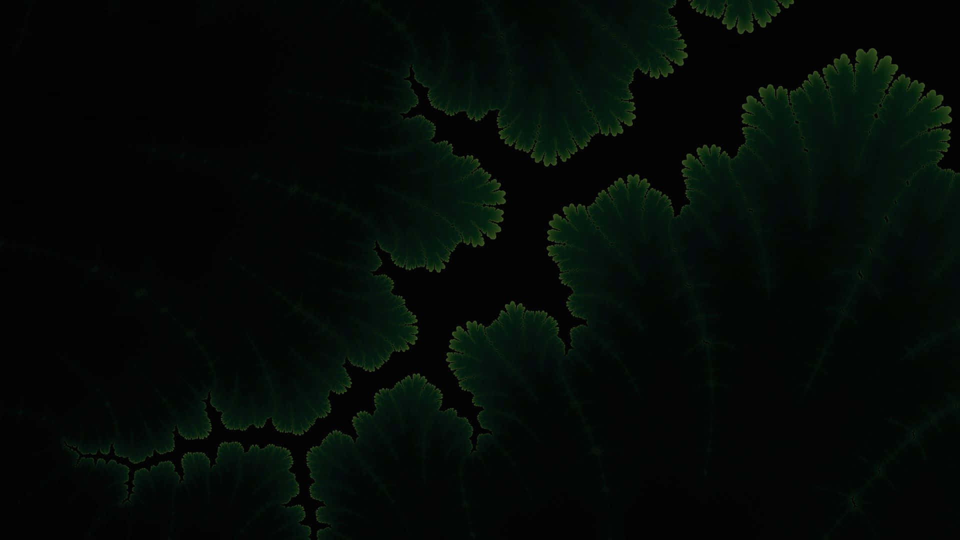 擁抱 AMOLED 體驗，搭配 1080P 背景 壁紙 — 深綠色分形葉片圖案在黑色背景上隱約發光，構成迷人的數位藝術作品。