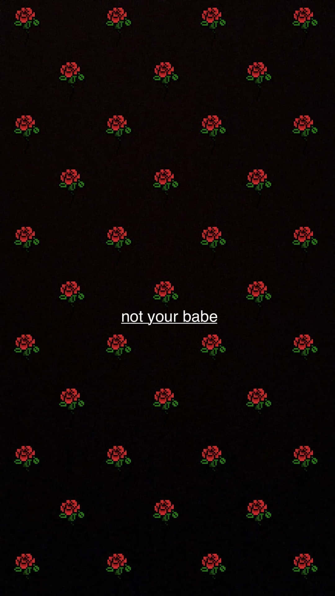 黑色背景上的像素化紅玫瑰，帶有文字 not your babe