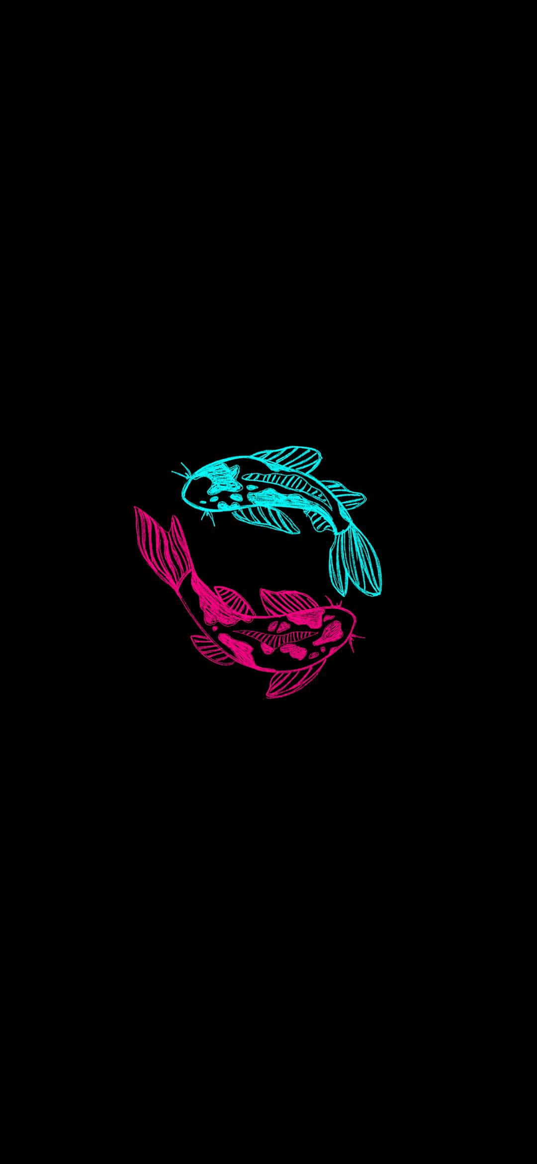 擁抱你的獨特性——雙魚座 壁紙 — 兩條風格化的錦鯉，一條青色，一條洋紅色，在純黑色背景上向相反方向游動。