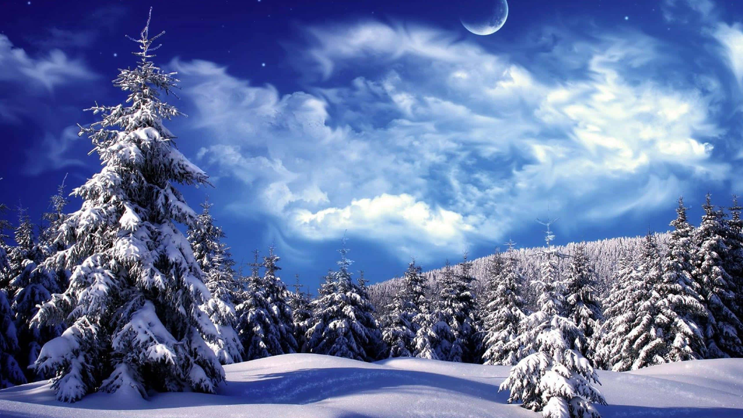 擁抱冬季的美麗 壁紙 — 白雪覆蓋的松樹矗立在充滿活力的藍色夜空下，夜空中有新月和縷縷雲彩。