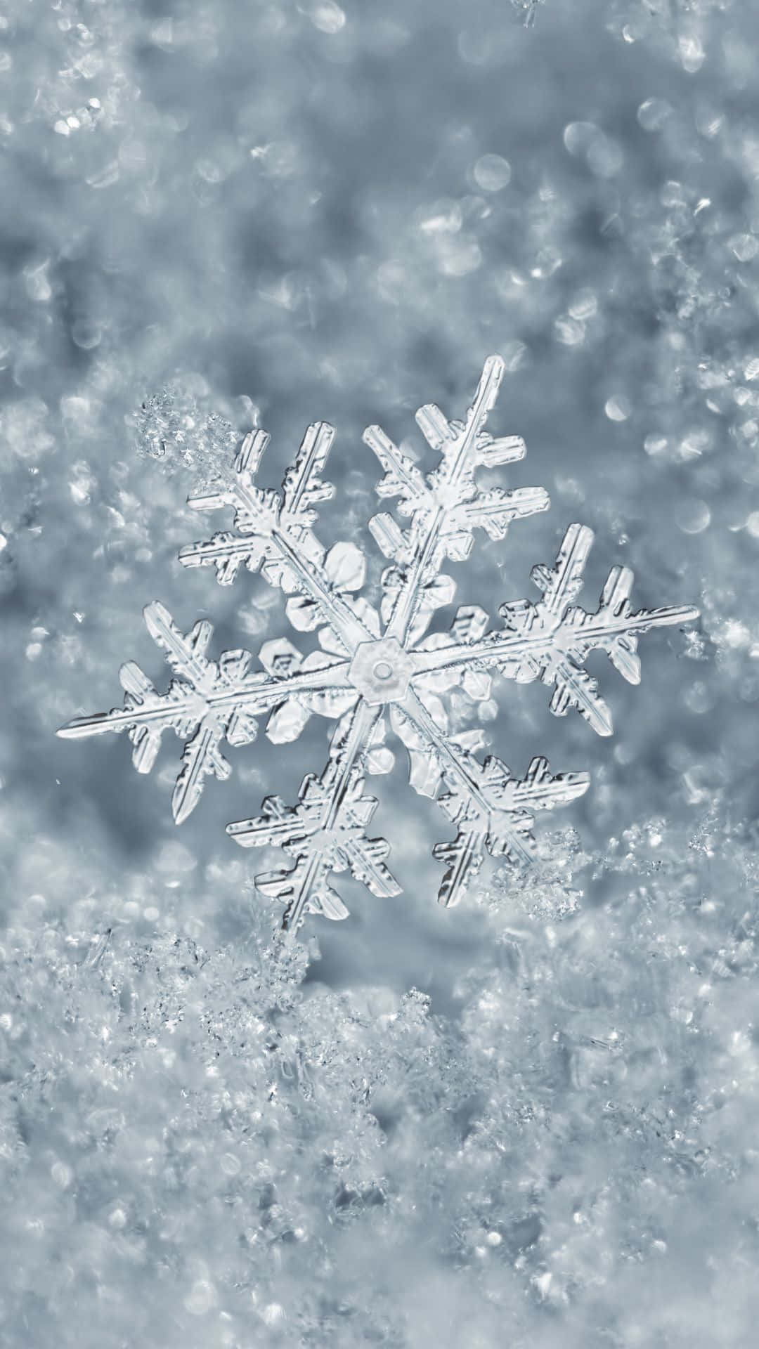 擁抱冬季的美麗：雪人、松樹與星夜 壁紙 — 一片精緻的雪花在冷藍光下輕輕地躺在柔軟的雪床上。