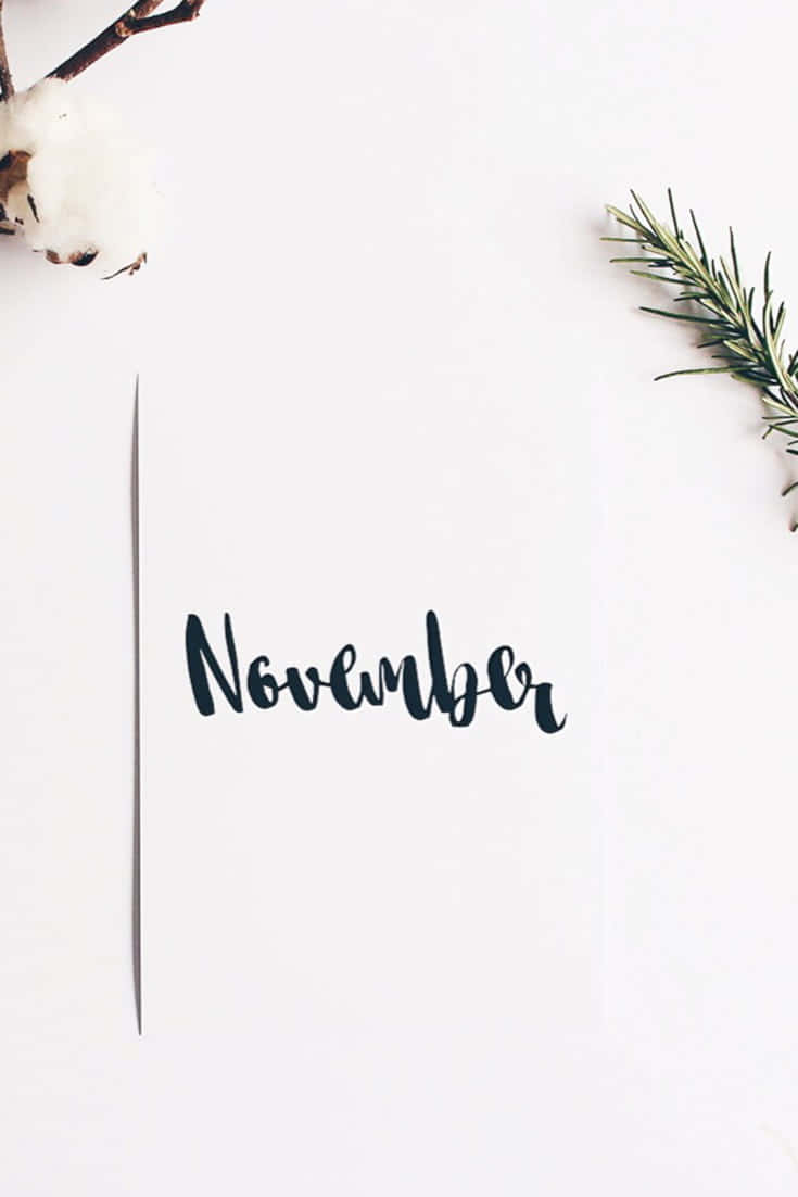 白色背景上以黑色草書寫著「November」，並配有棉花和迷迭香枝條。